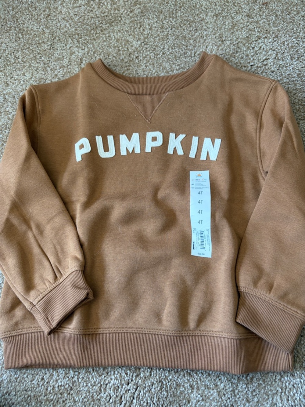 Little Co. Pumpkin Graphic Sweatshirt - Brown